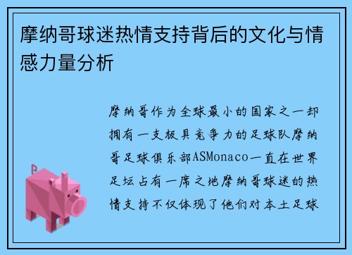 摩纳哥球迷热情支持背后的文化与情感力量分析