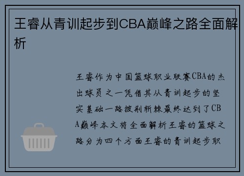 王睿从青训起步到CBA巅峰之路全面解析